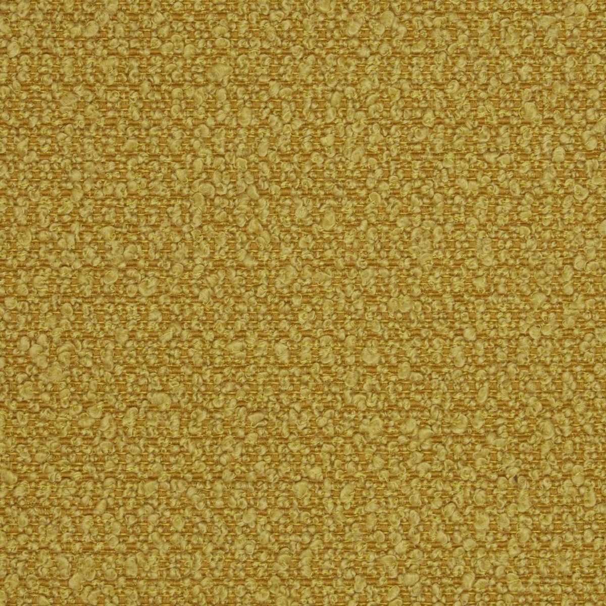 Arlo Citrine