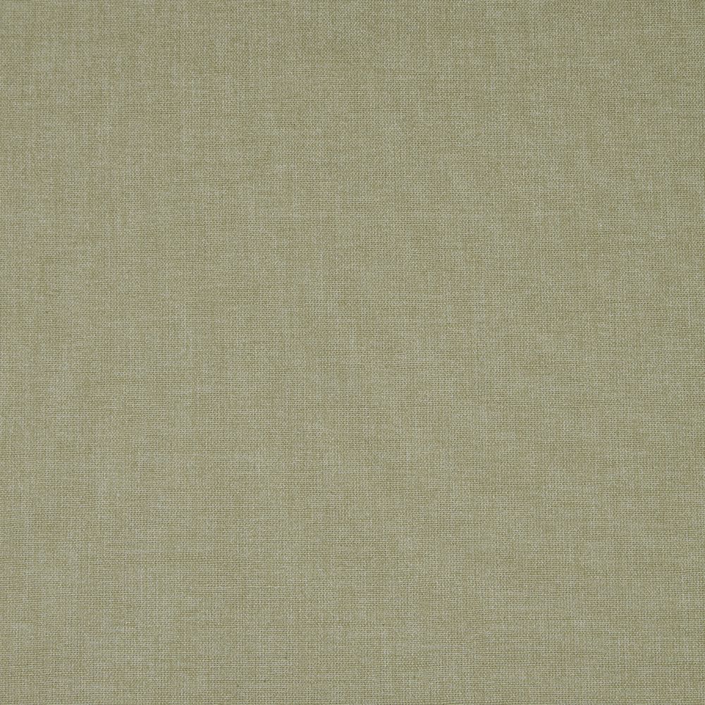 Asana Willow
