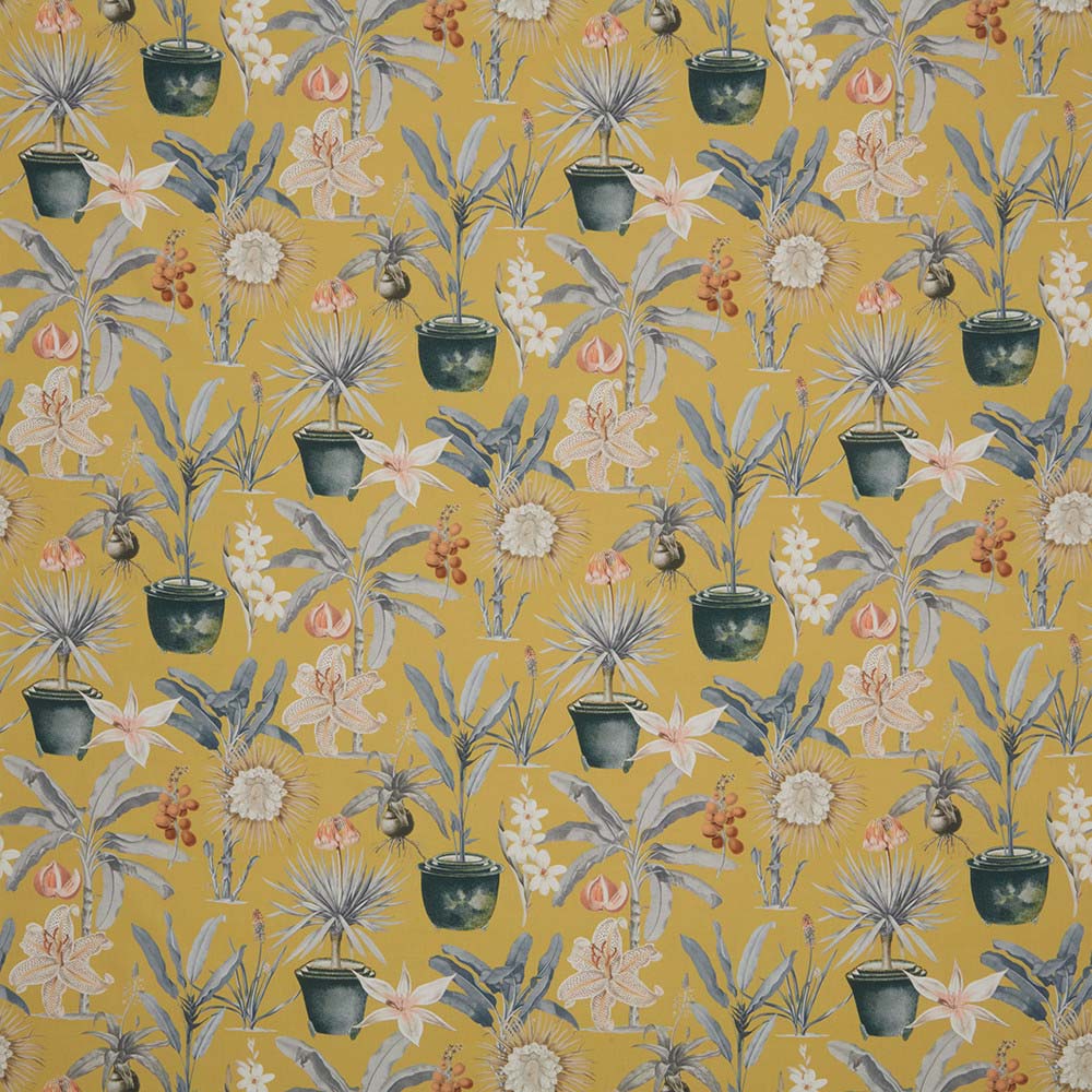 Atrium Ochre