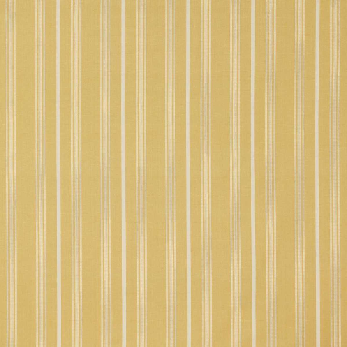 Breton Barley