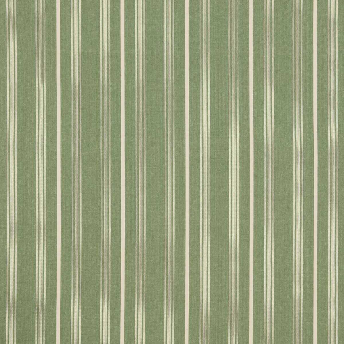 Breton Thyme