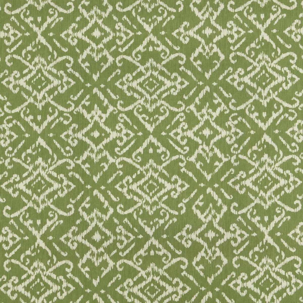 Lattice Thyme