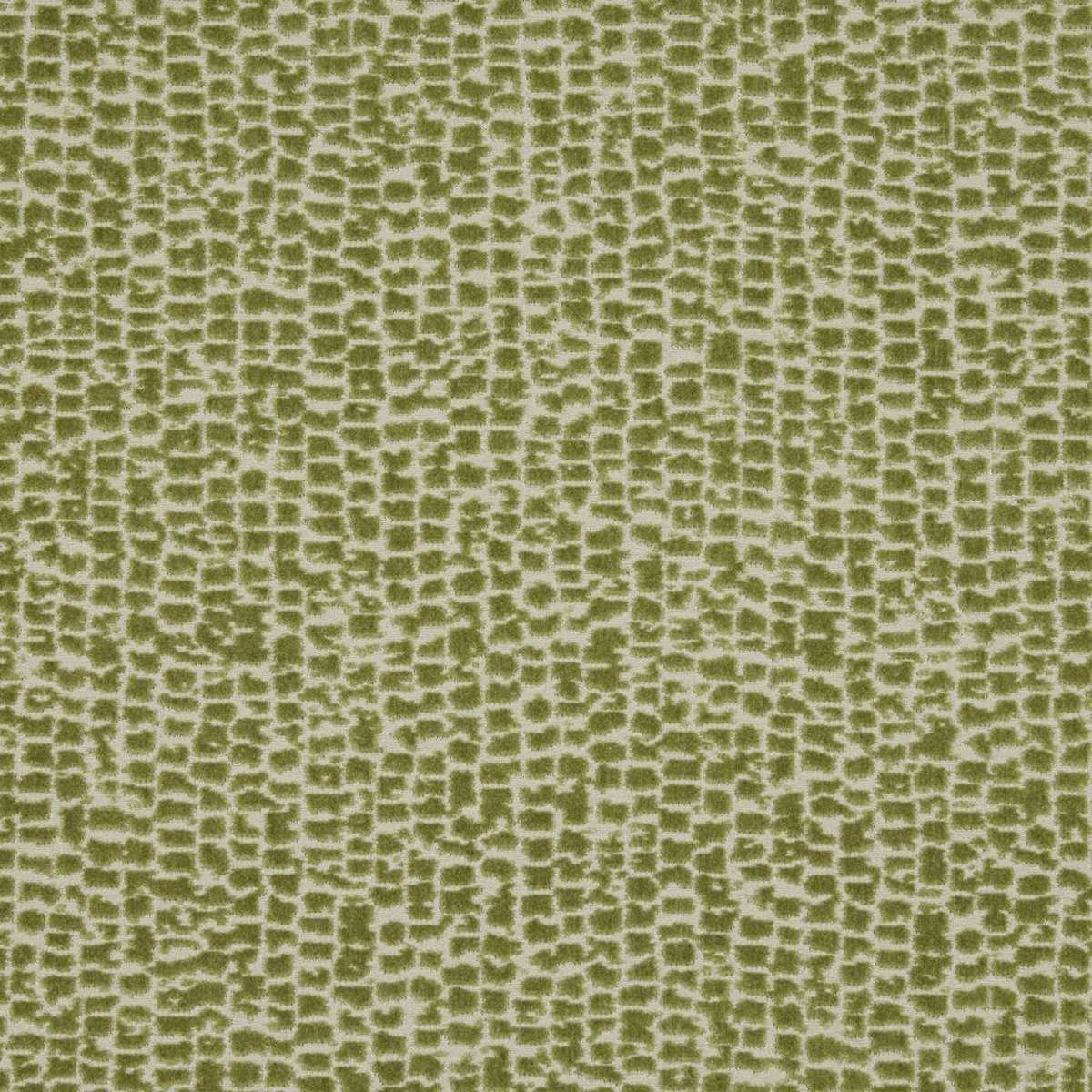 Mandal Olive