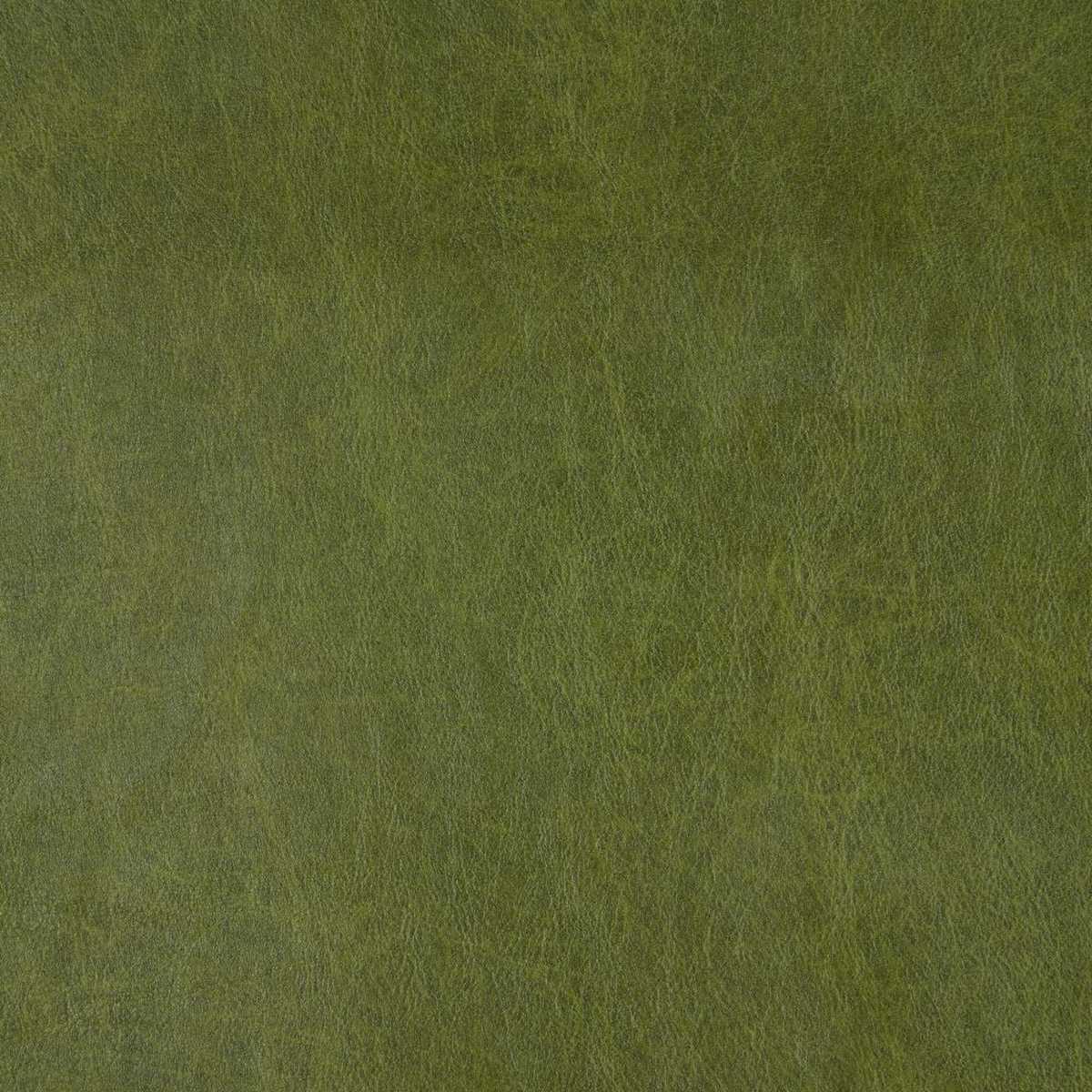 Saddle Basil
