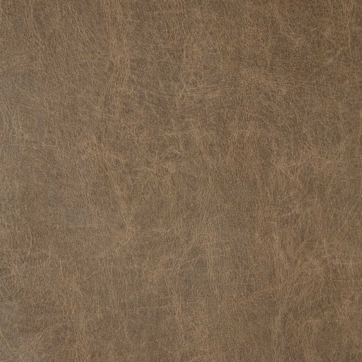 Saddle Cocoa