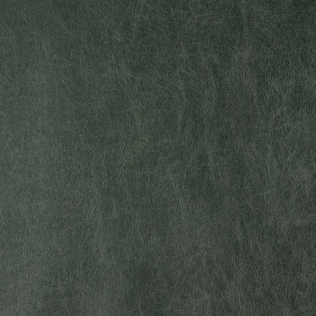 Saddle Evergreen