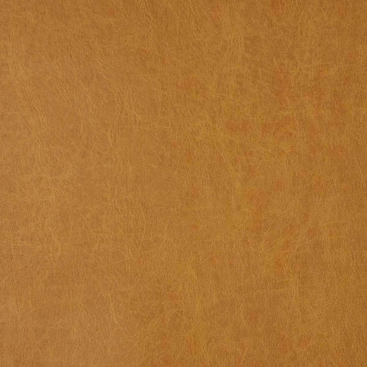 Saddle Honey