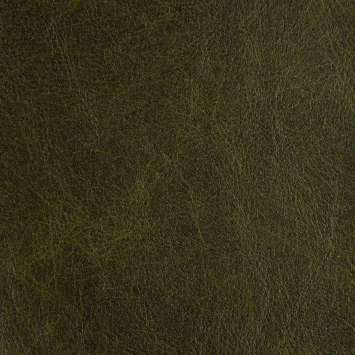 Saddle Juniper