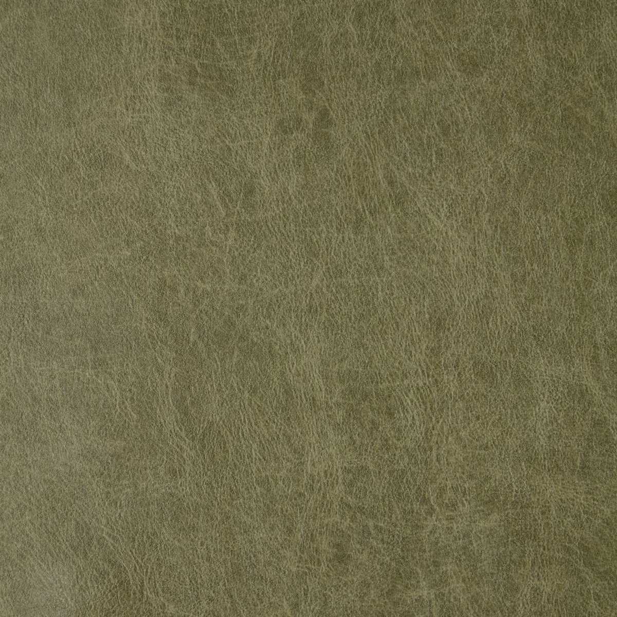 Saddle Sage