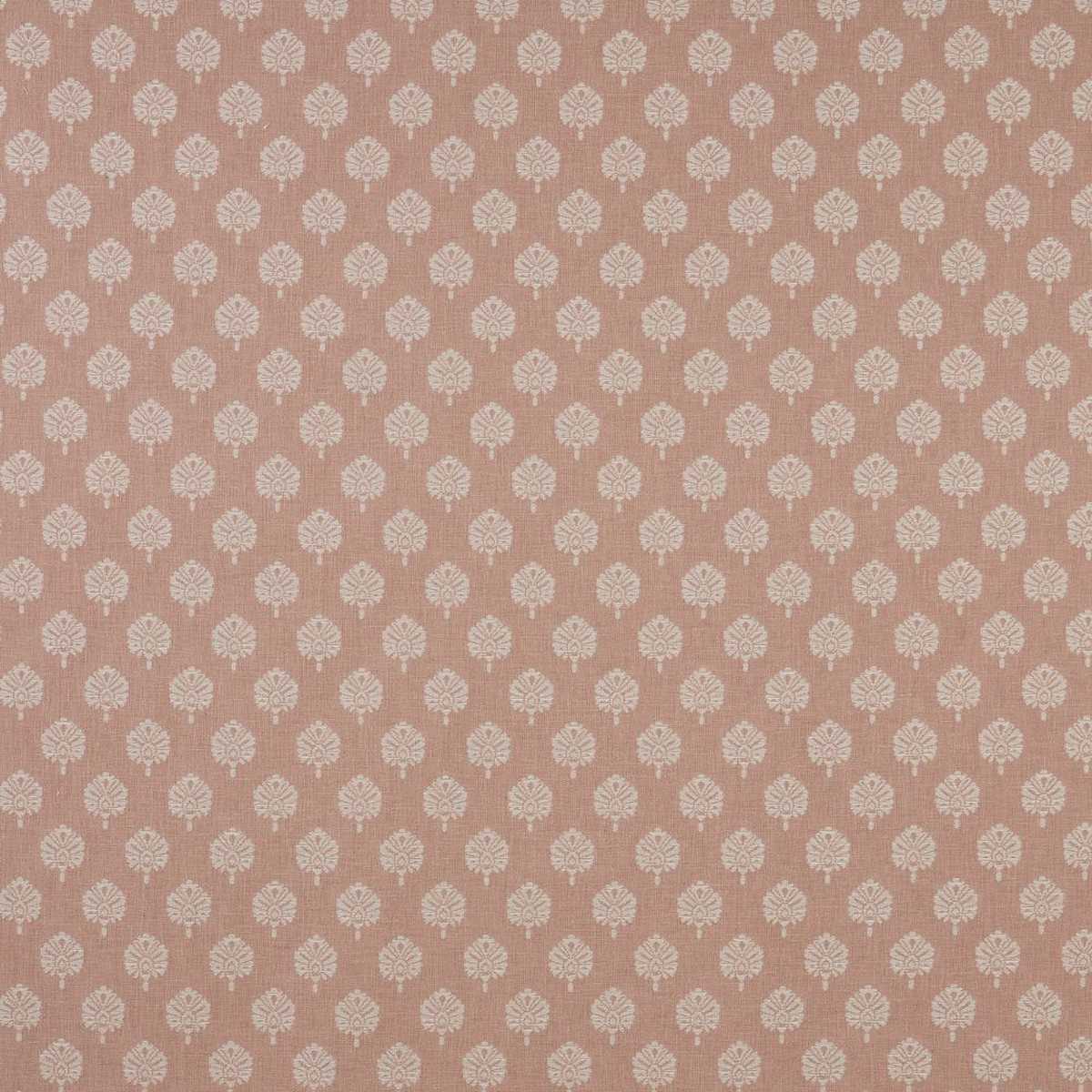 Segoa Blush