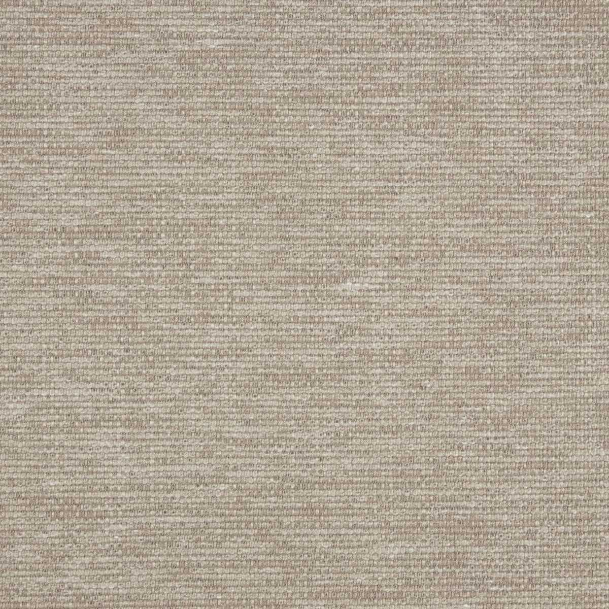 Sirocco Mink