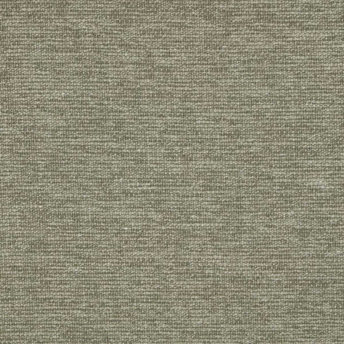 Sirocco Pine