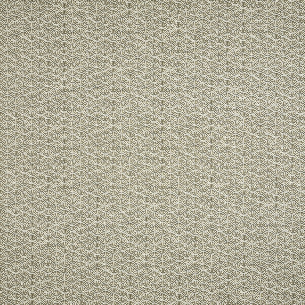 Tatami BCIA/TATAMOYS