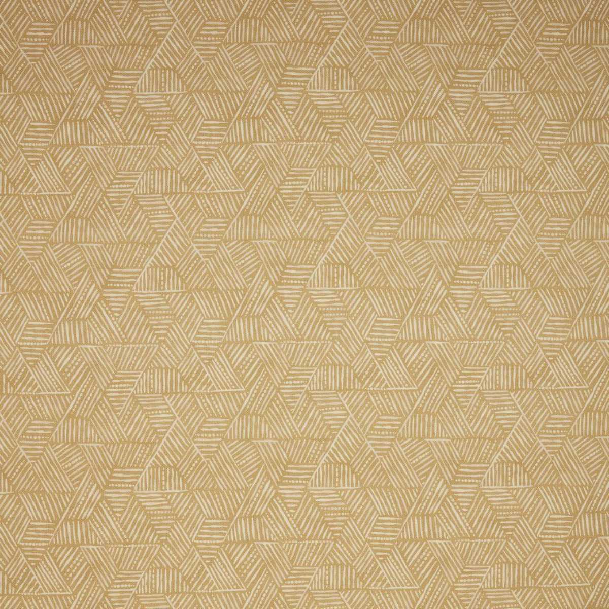 Triangulum Dijon