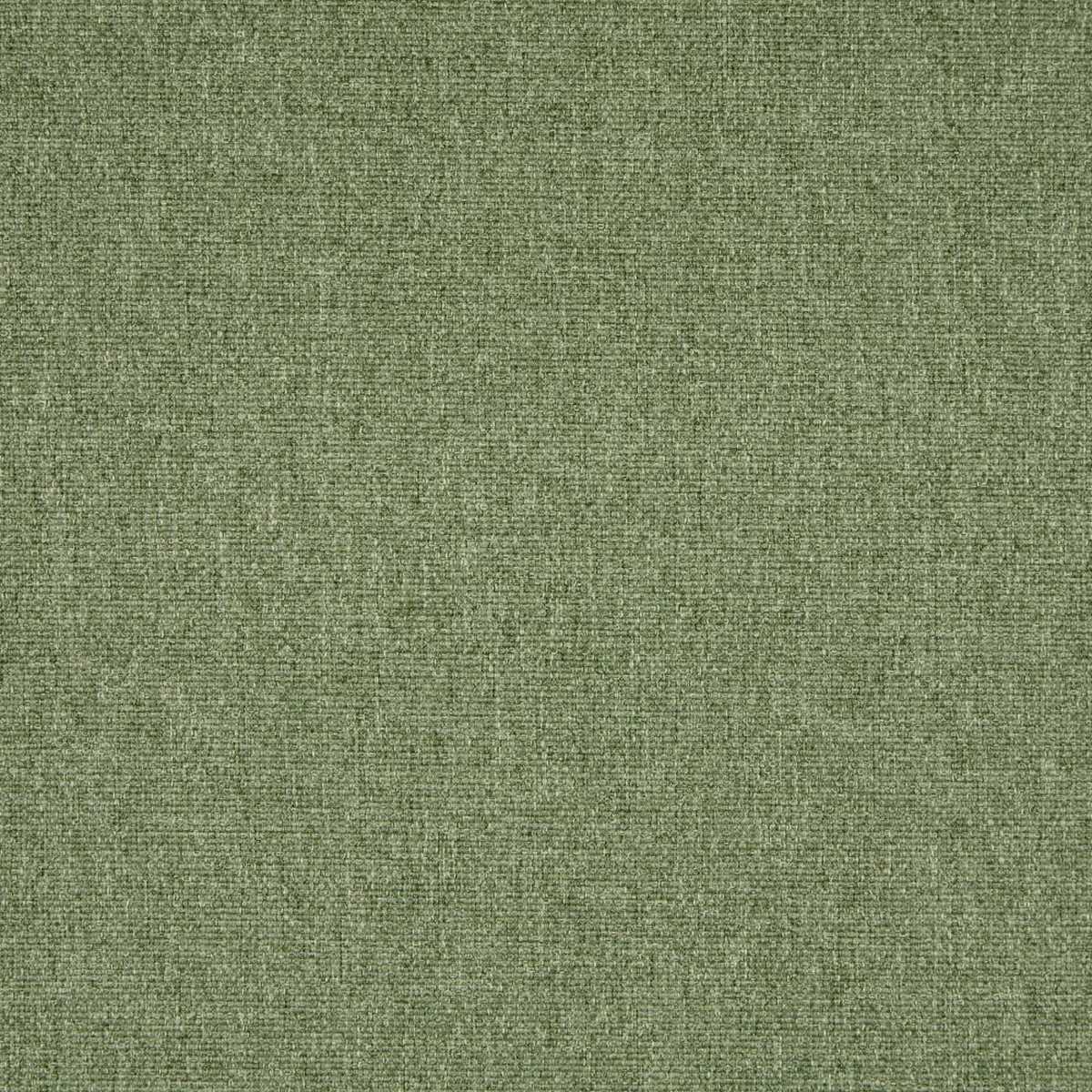 Tundra Meadow