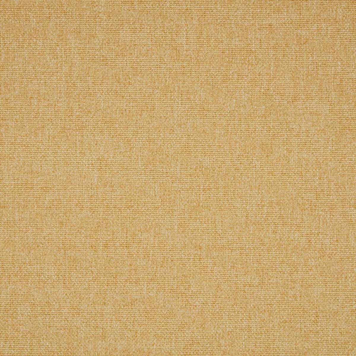 Tundra Rattan