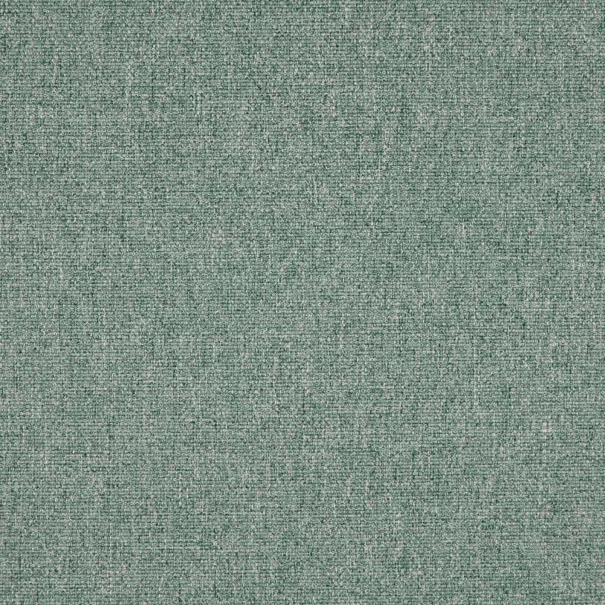 Tundra Sea Pine