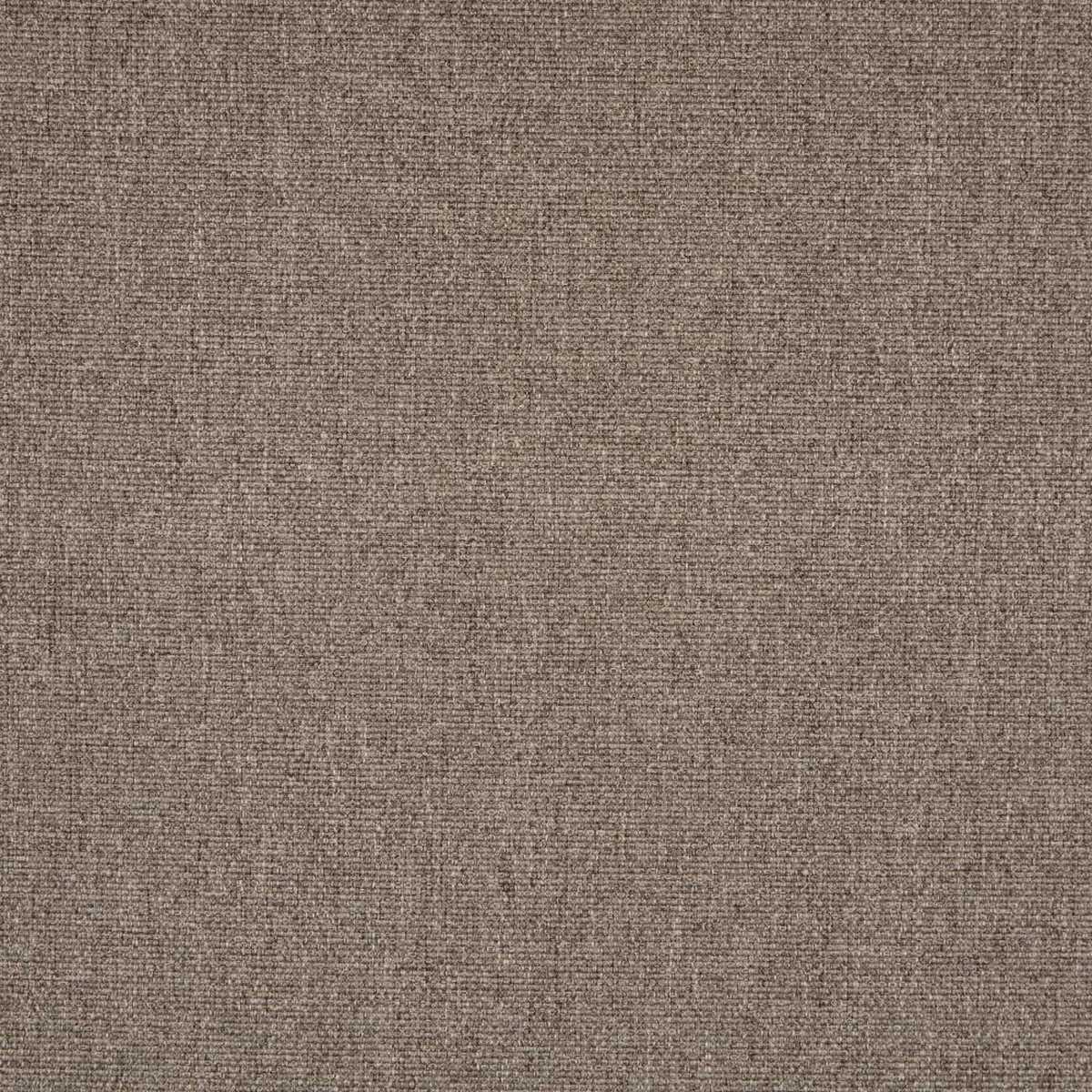 Tundra Truffle