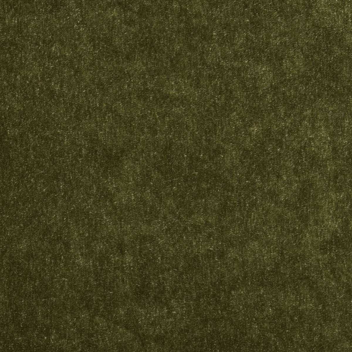 Velita Cedar