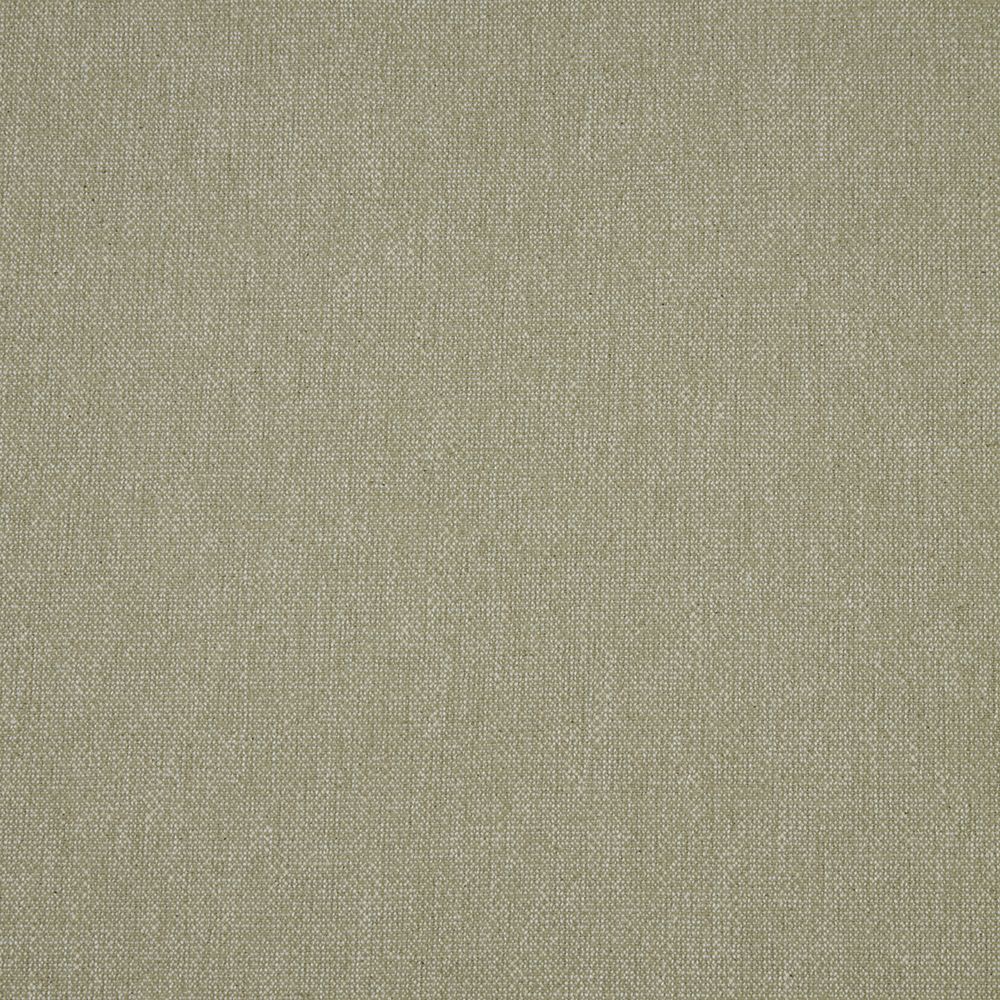 Vinyasa Olive