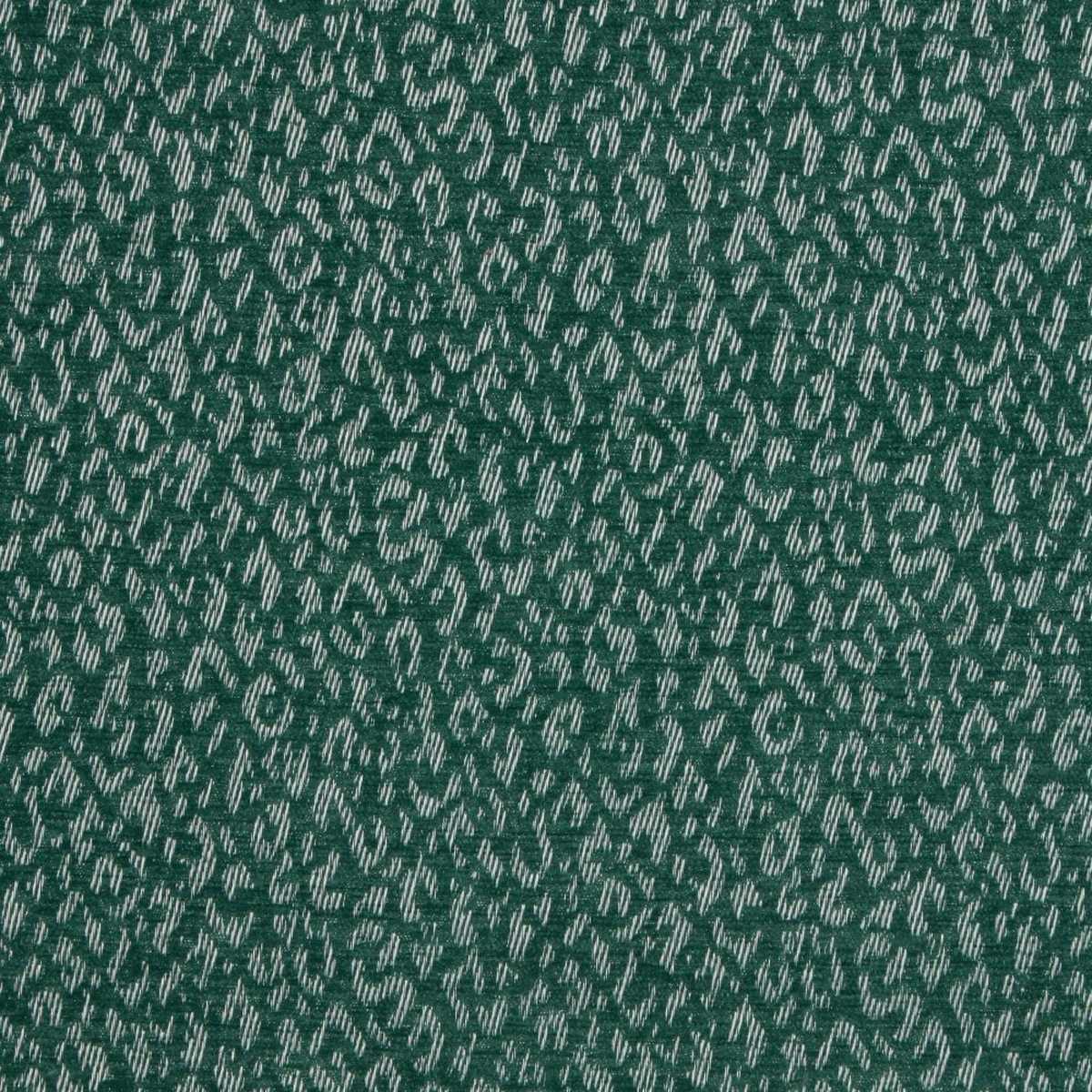 Wildcat Teal