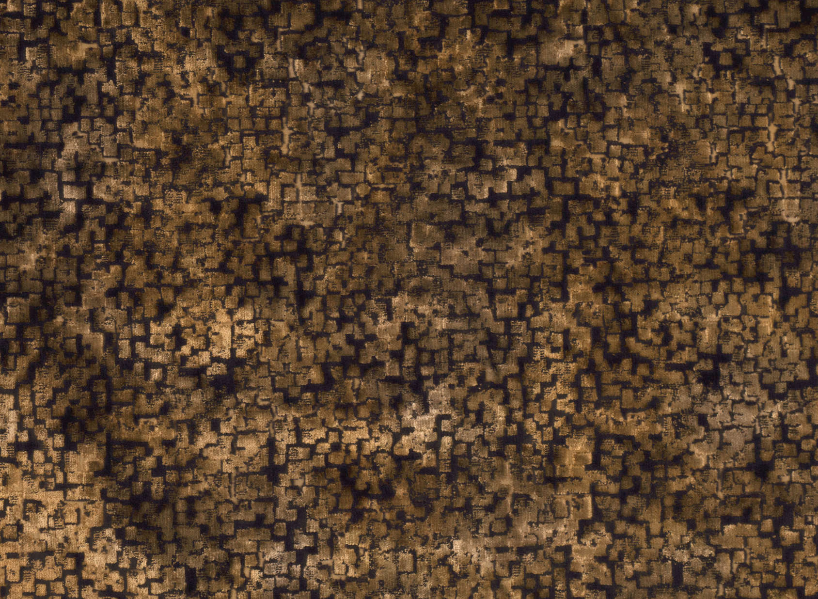 Inachi Muscovado 9023-04