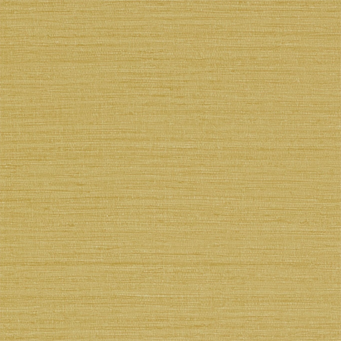 Io DAEG213050
