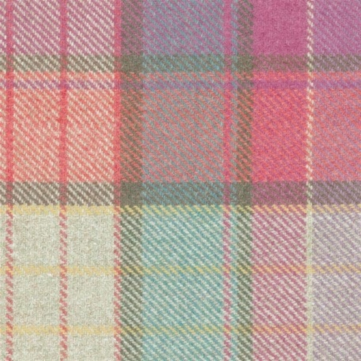 Country Iona Raspberry