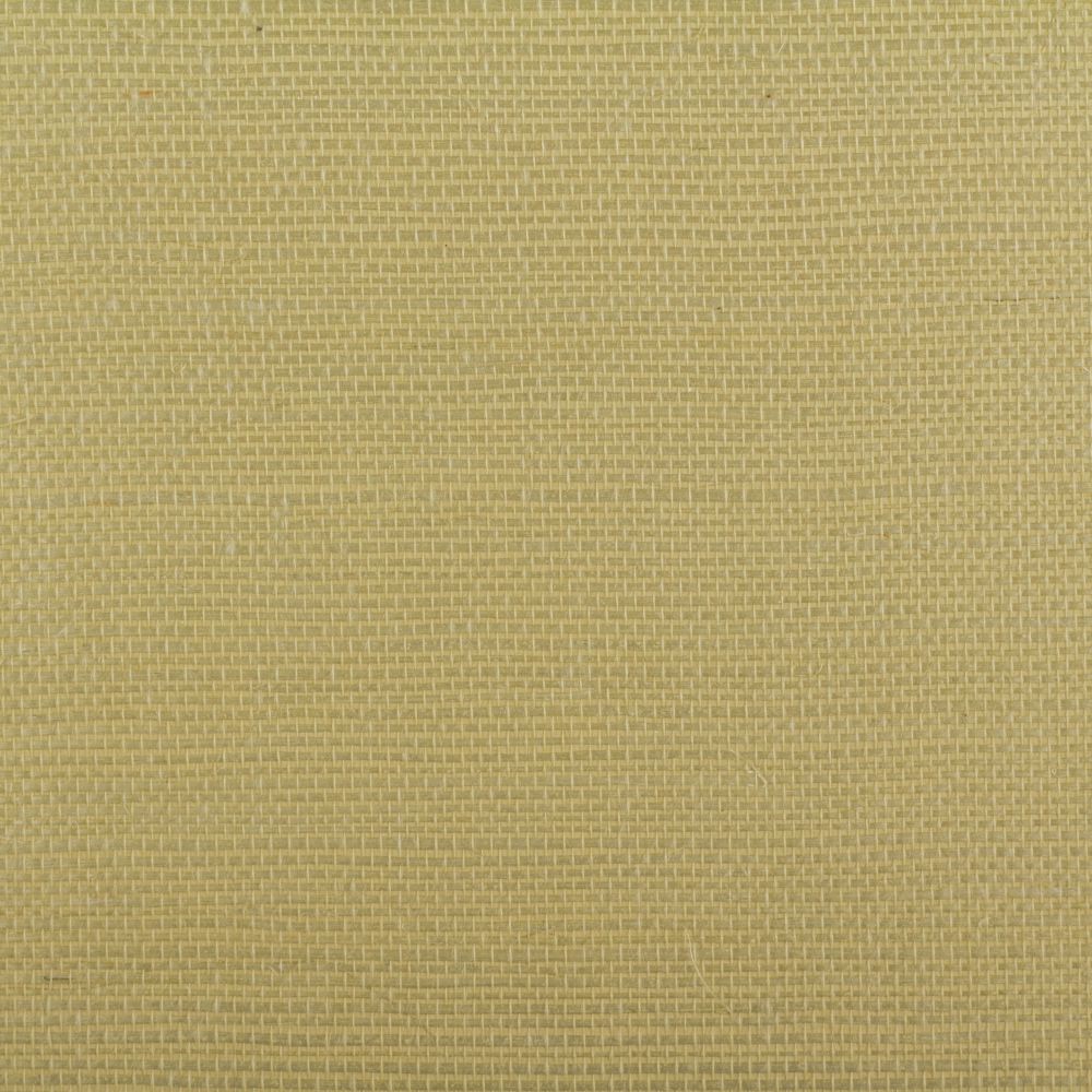 Island Weaves MR-TY-2049