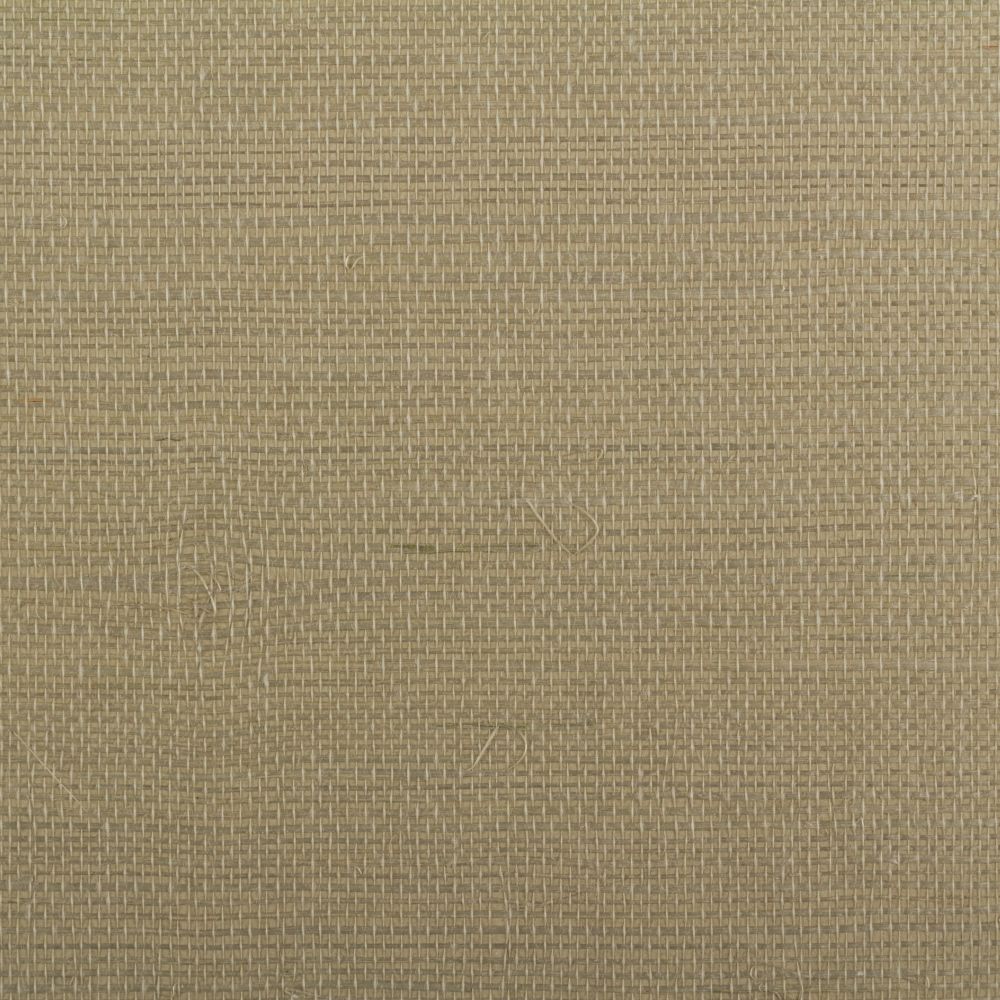 Island Weaves MR-TY-2063