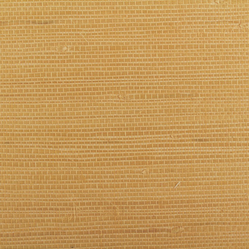 Island Weaves MR-TY-2102