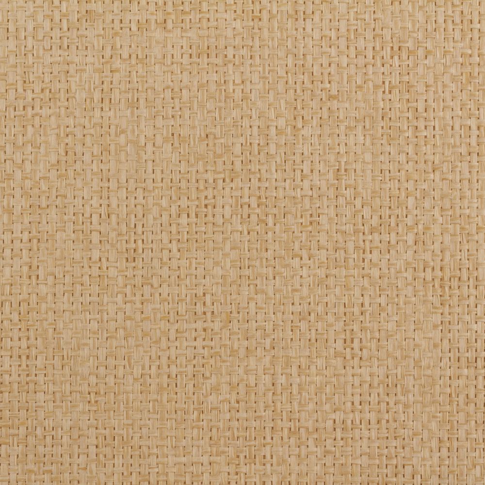 Island Weaves MR-TY-2109