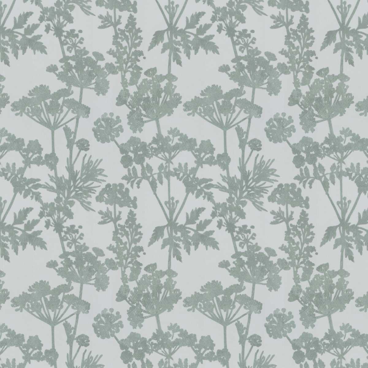 Achillea JA8051-080
