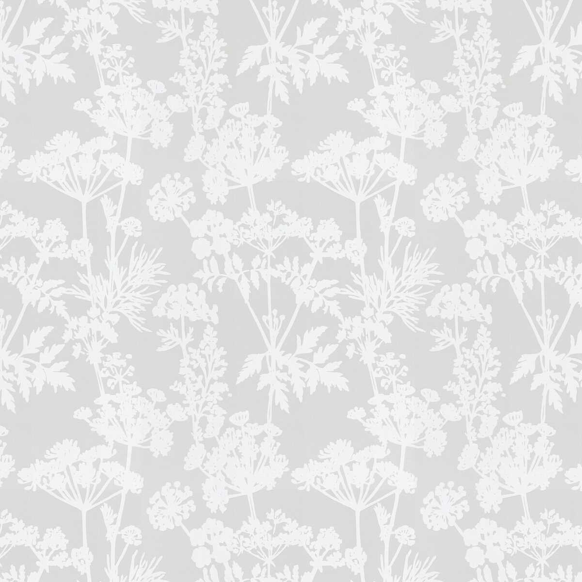 Achillea JA8051-090