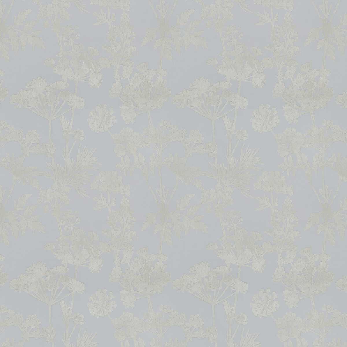 Achillea JA8051-091