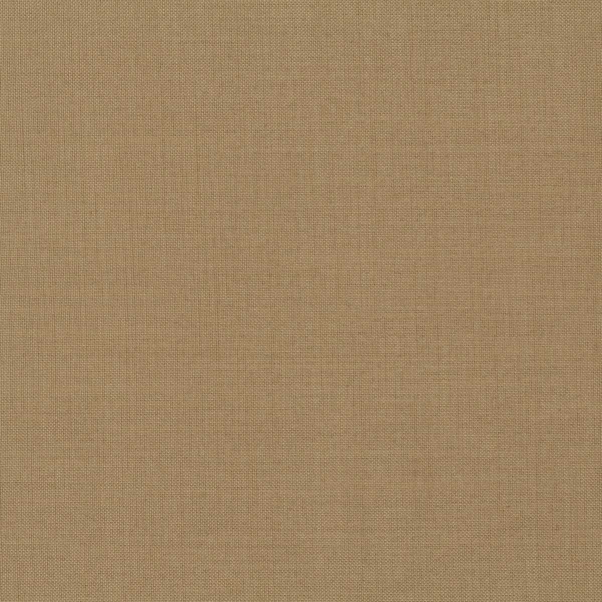 Antony JA6005-077