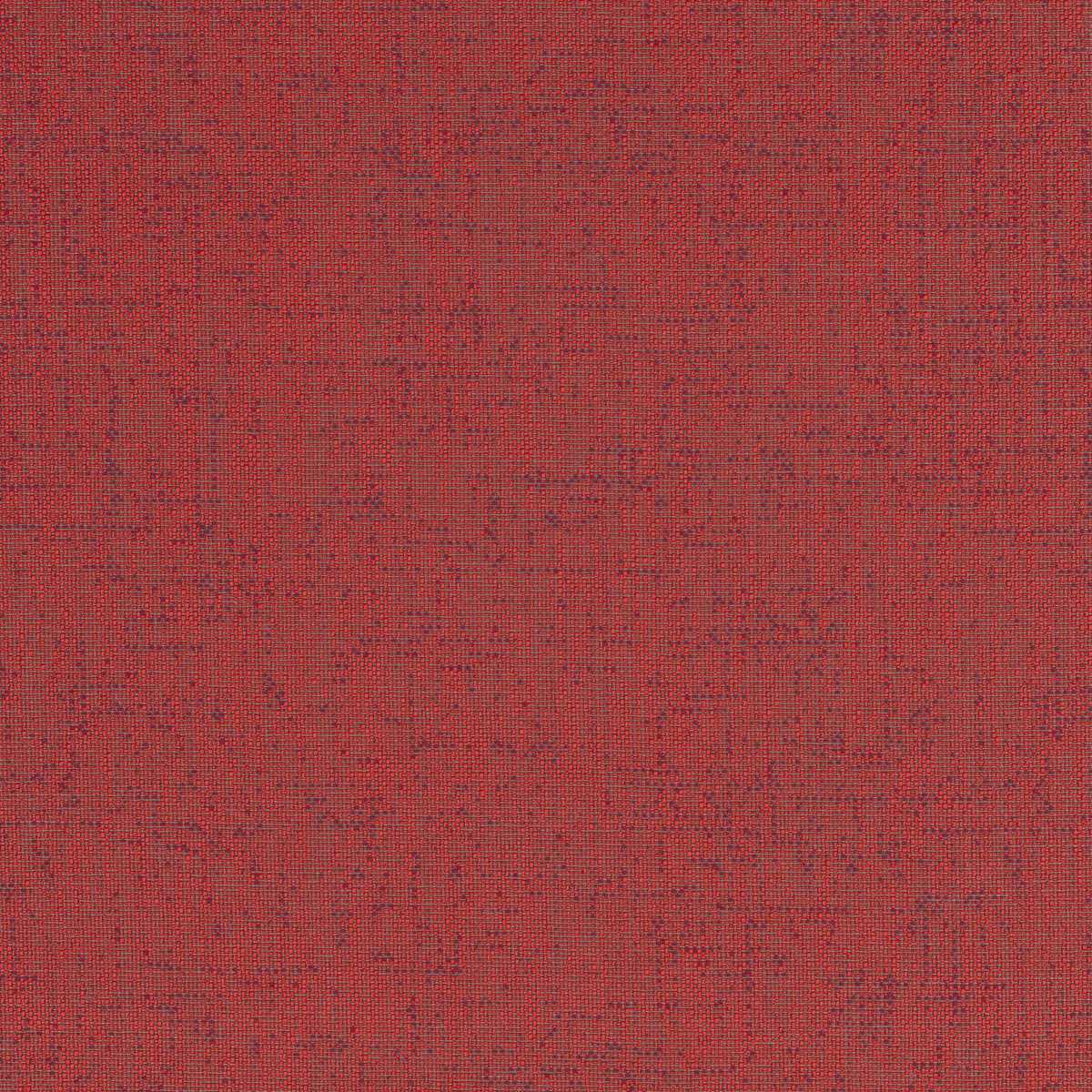 Assam CX1054-010