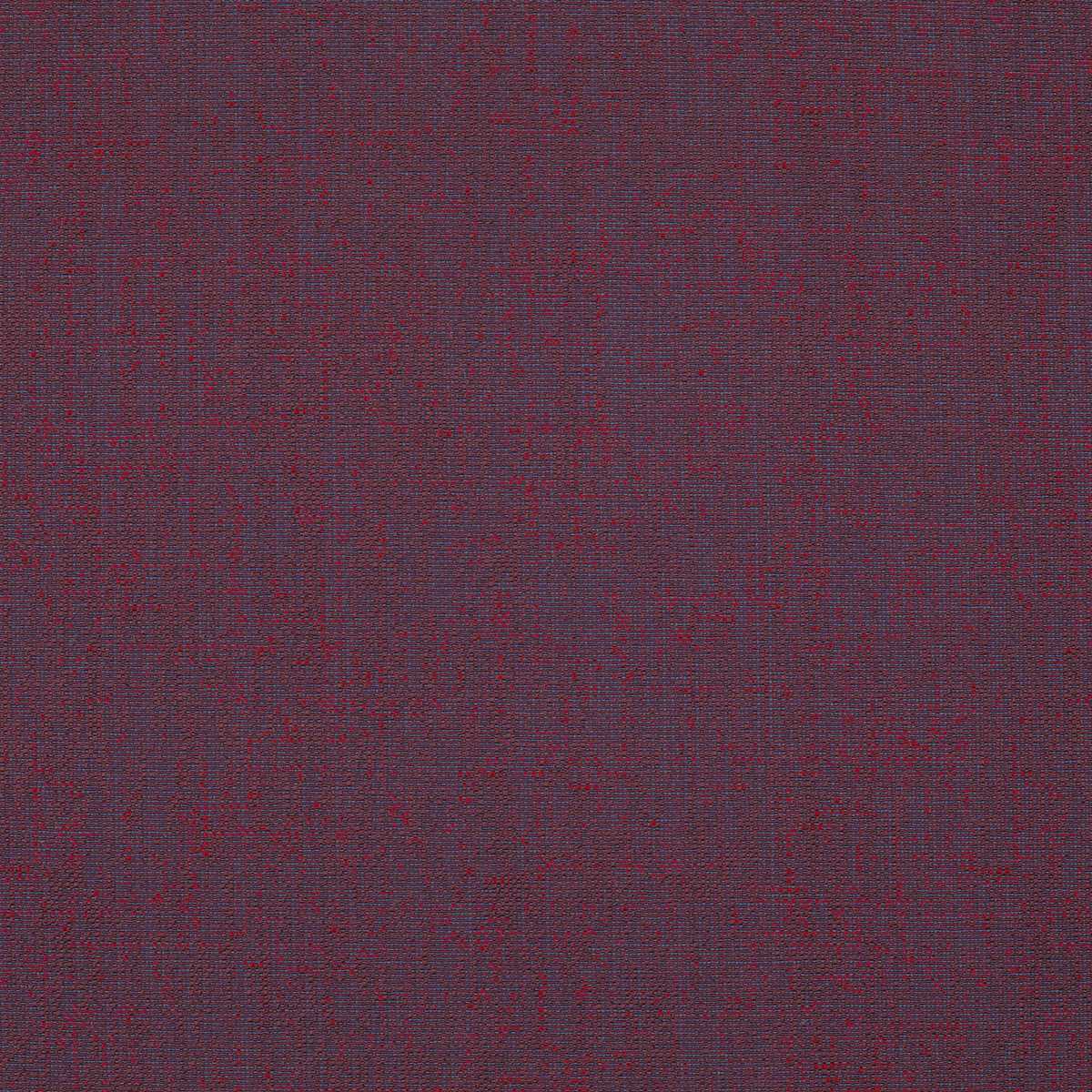 Assam CX1054-013