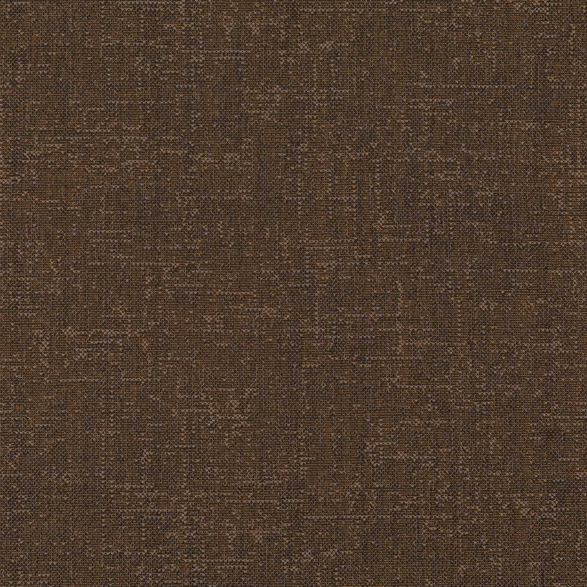Assam CX1054-021