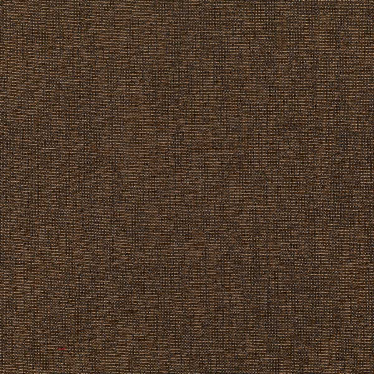 Assam CX1054-022