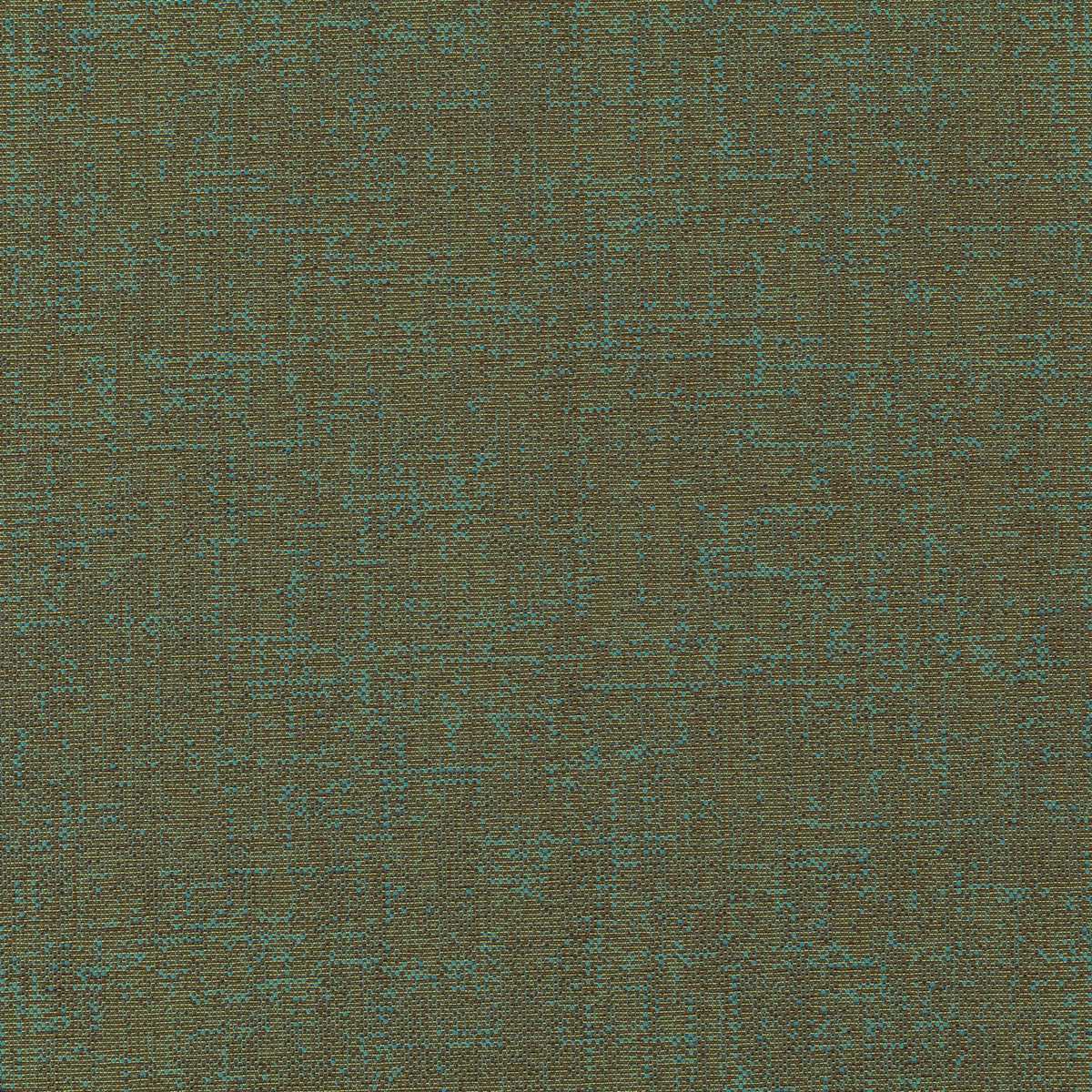 Assam CX1054-030