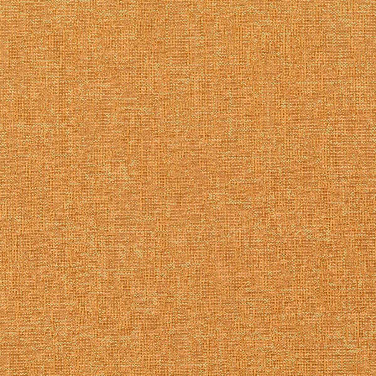 Assam CX1054-061