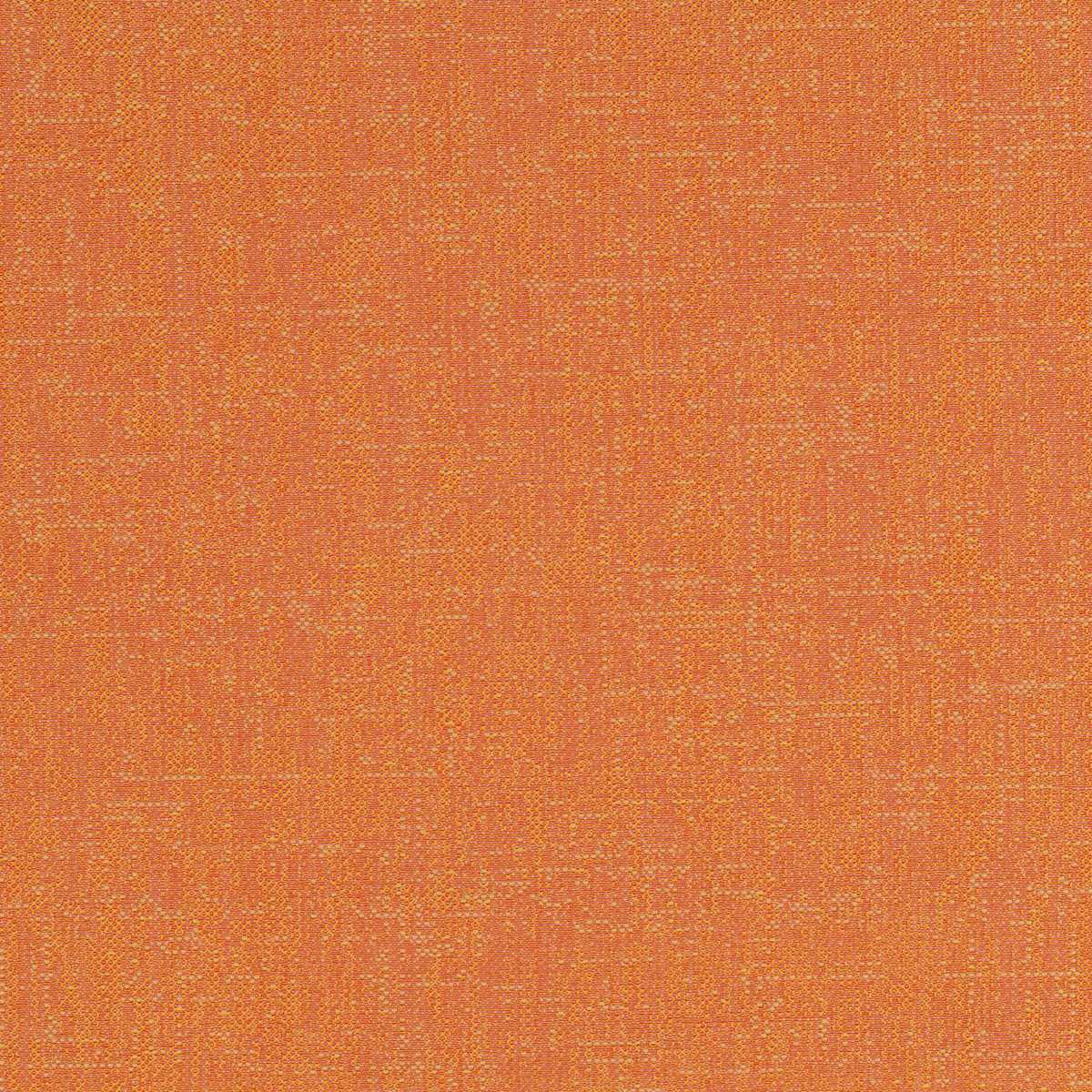 Assam CX1054-062