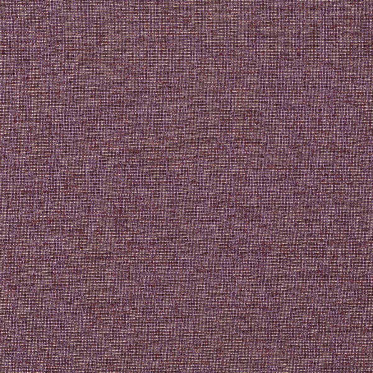Assam CX1054-082
