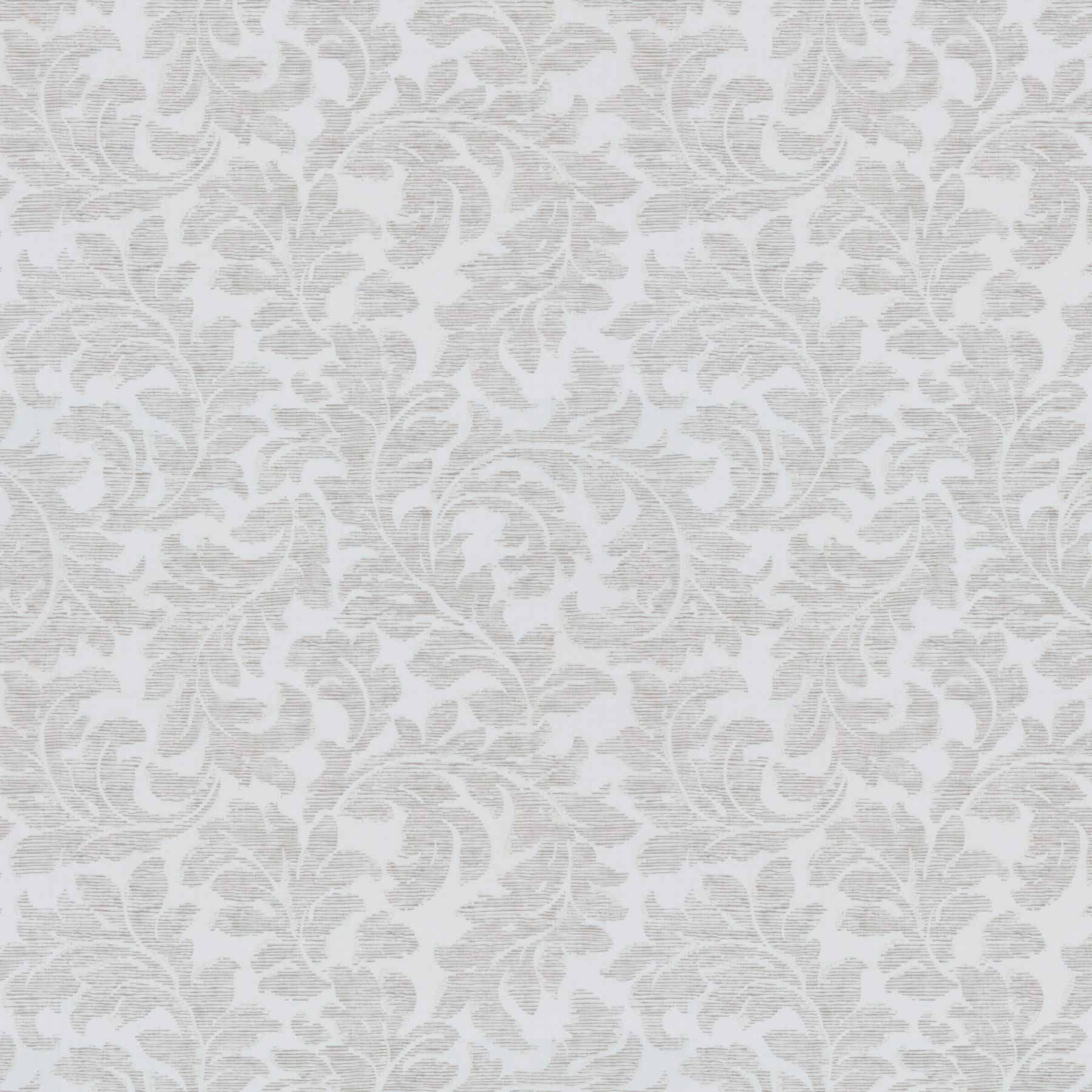 Candida JA8059-091