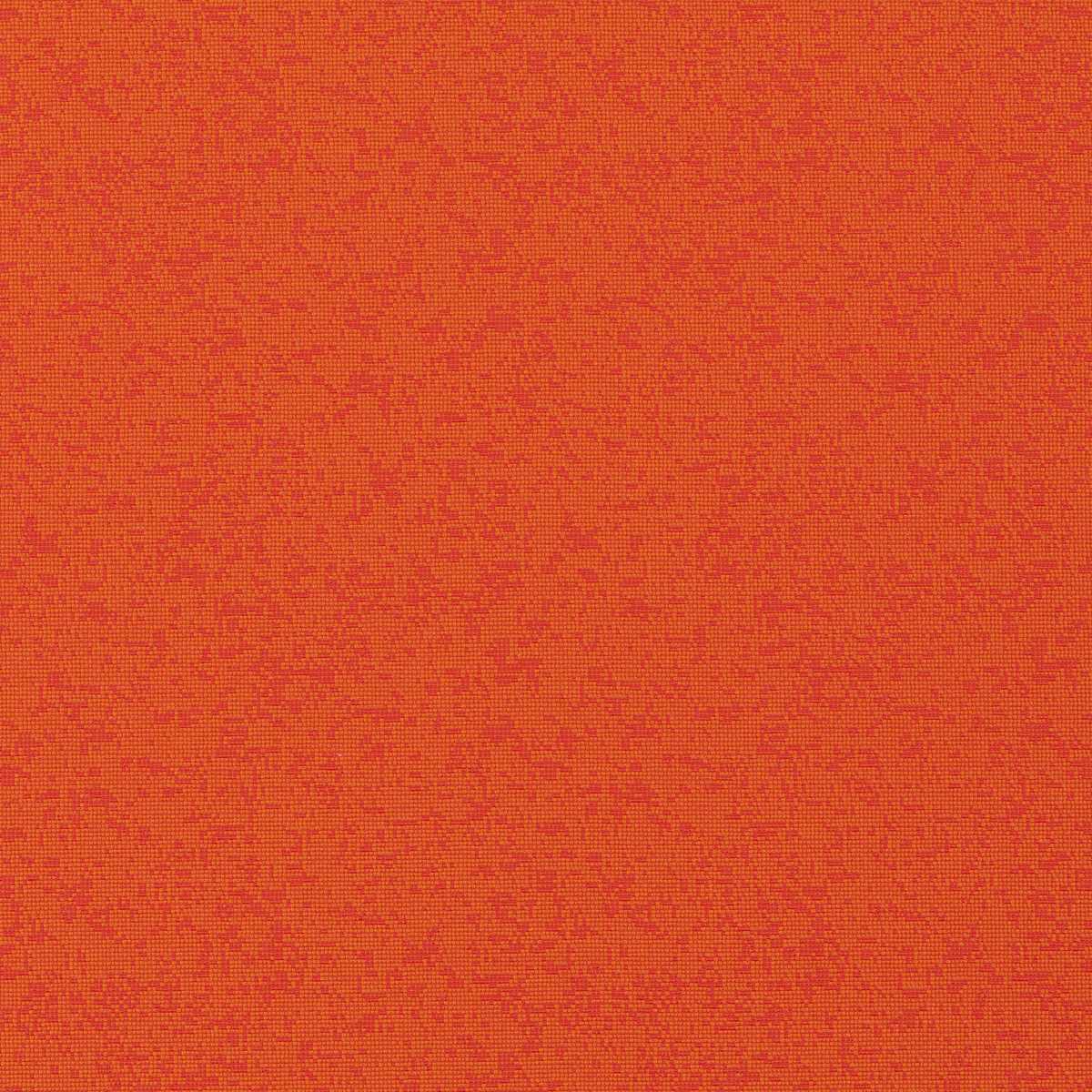 Grano CX1056-061