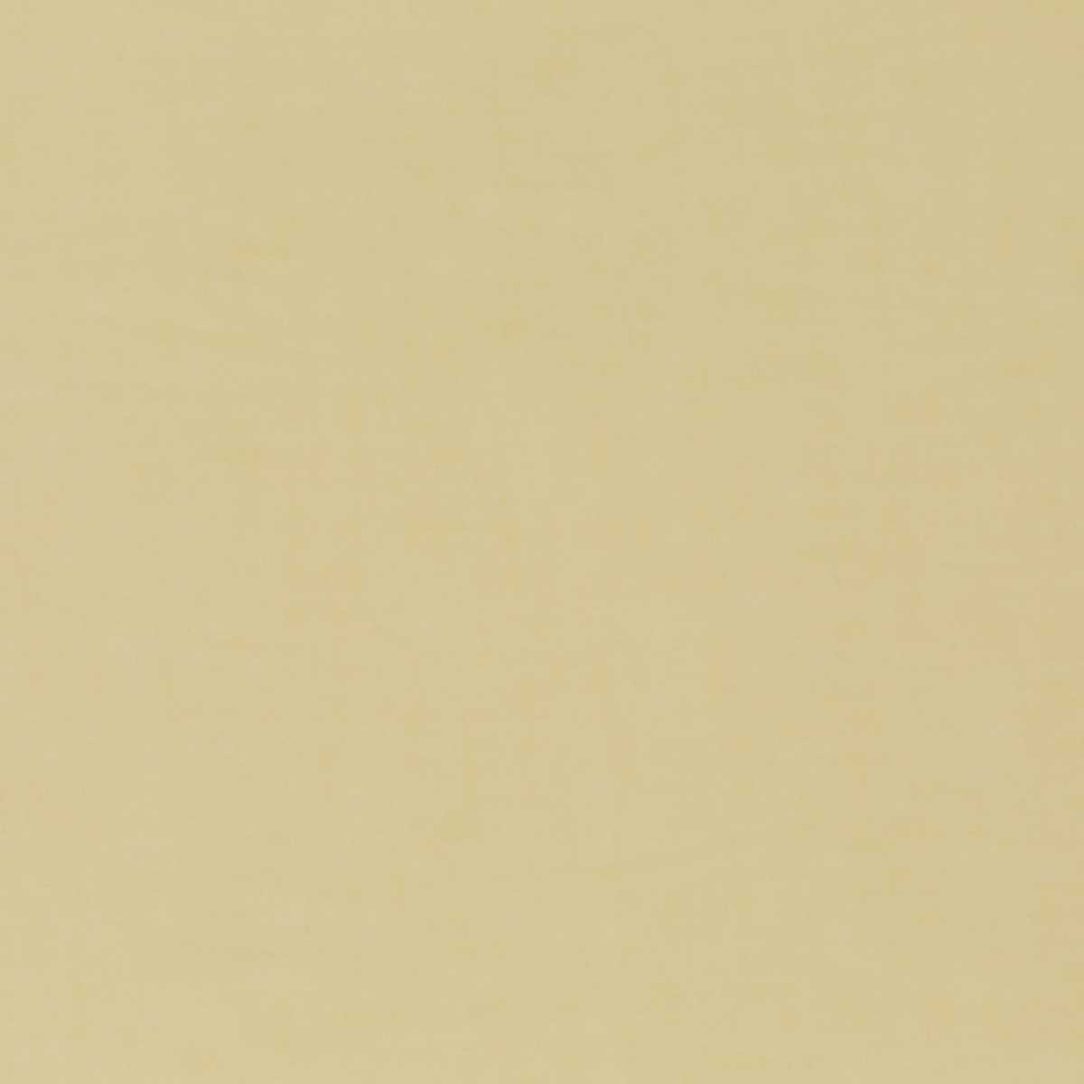 Joana Vol. 2 JA6198-041