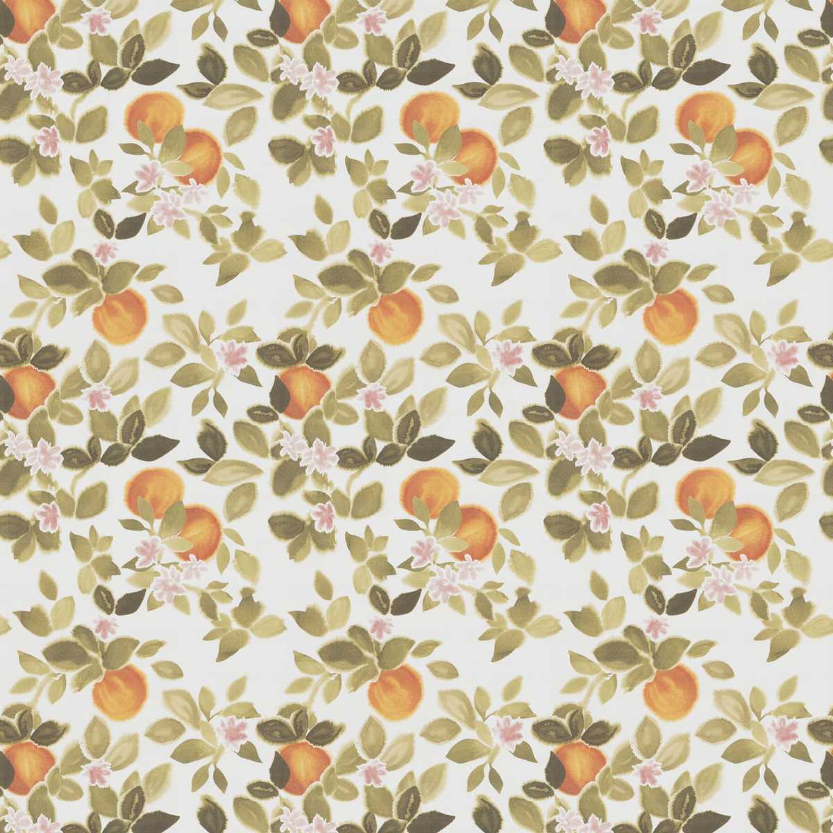 Laranja JA8102-061