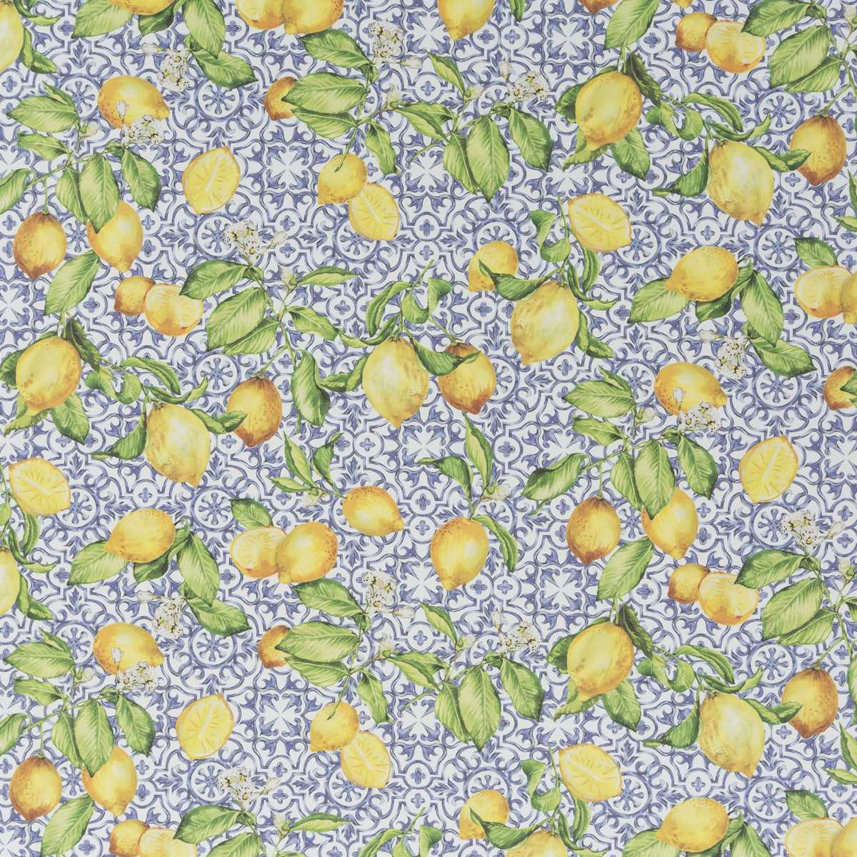 Limoncino JA8094-050