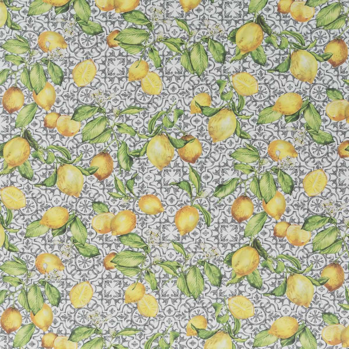 Limoncino JA8094-091